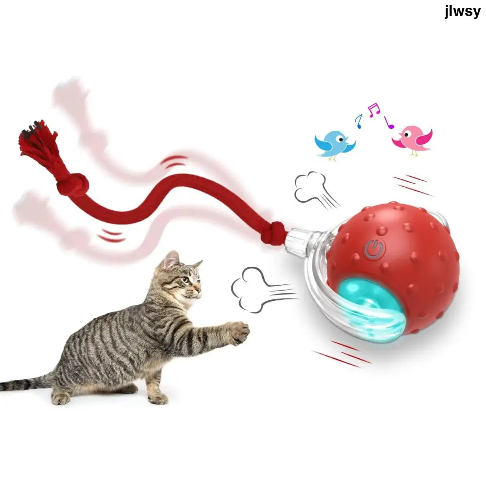 Interactive Cat Toy Ball Super Drive Cat Rolling Ball - The birds call is red - Interactive Cat Toy